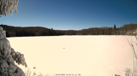 Image from 2025-03-06