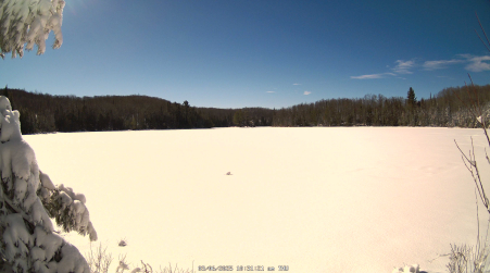 Image from 2025-03-06