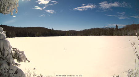 Image from 2025-03-06