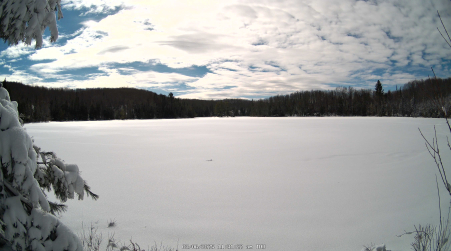 Image from 2025-03-06