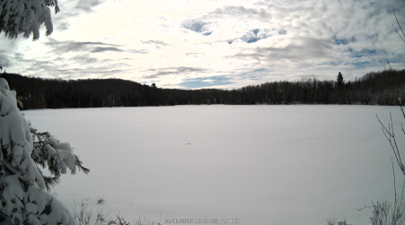 Image from 2025-03-06