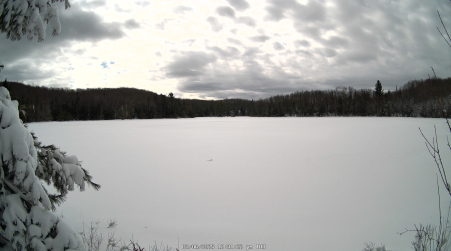 Image from 2025-03-06