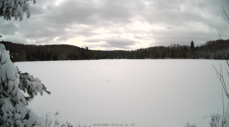 Image from 2025-03-06