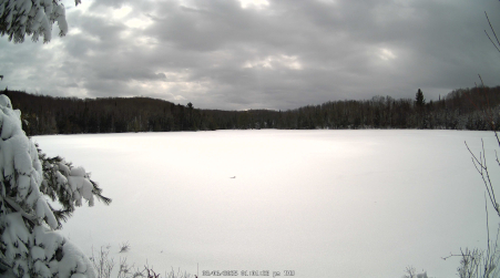 Image from 2025-03-06