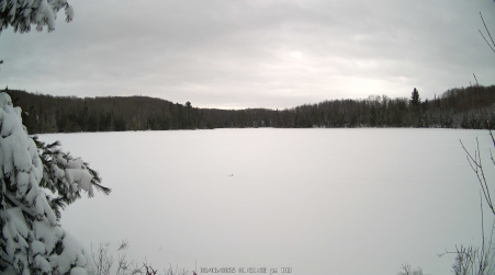 Image from 2025-03-06