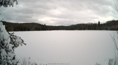Image from 2025-03-06