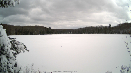Image from 2025-03-06