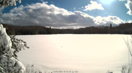 Image from 2025-03-06