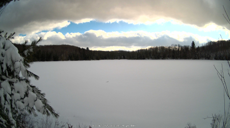 Image from 2025-03-06