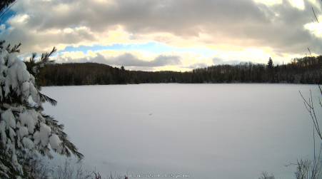 Image from 2025-03-06