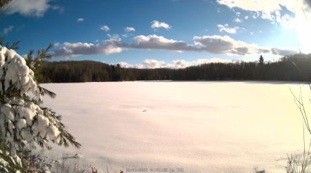 Image from 2025-03-06