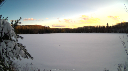 Image from 2025-03-06