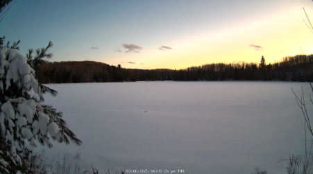 Image from 2025-03-06