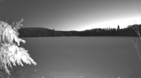 Image from 2025-03-06