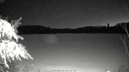 Image from 2025-03-06