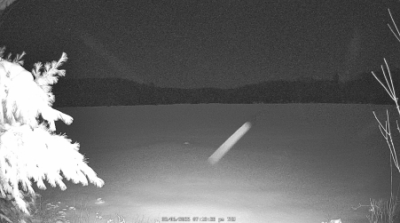 Image from 2025-03-06