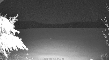 Image from 2025-03-06