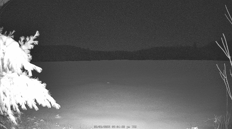 Image from 2025-03-06