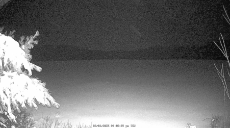 Image from 2025-03-06
