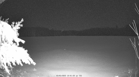 Image from 2025-03-06