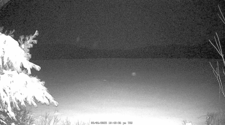 Image from 2025-03-06