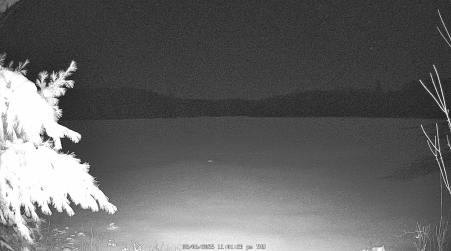 Image from 2025-03-06