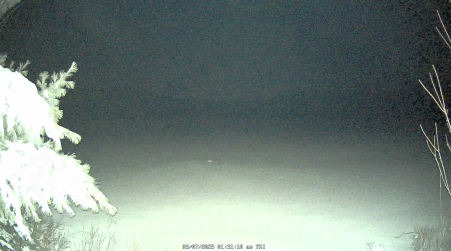 Image from 2025-03-07