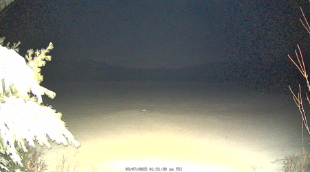 Image from 2025-03-07
