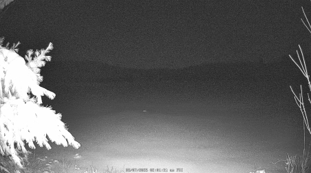 Image from 2025-03-07
