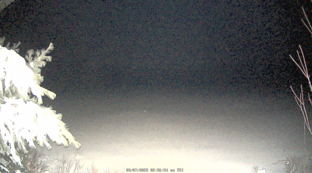 Image from 2025-03-07