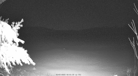 Image from 2025-03-07