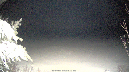 Image from 2025-03-07