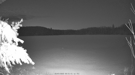 Image from 2025-03-07