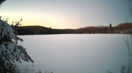 Image from 2025-03-07