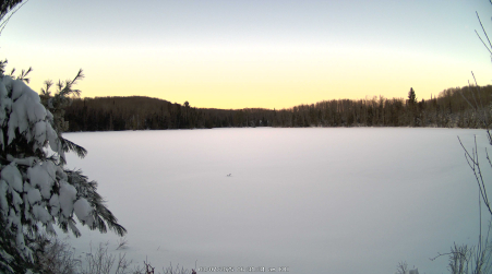 Image from 2025-03-07