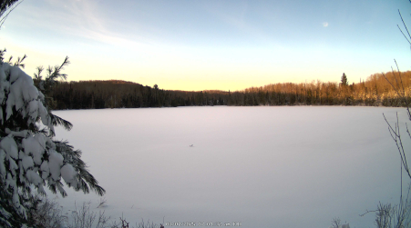 Image from 2025-03-07