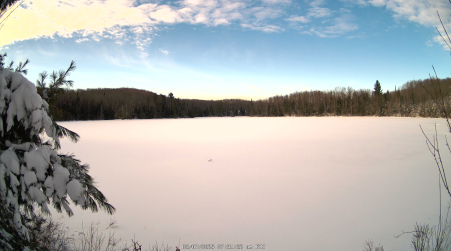 Image from 2025-03-07