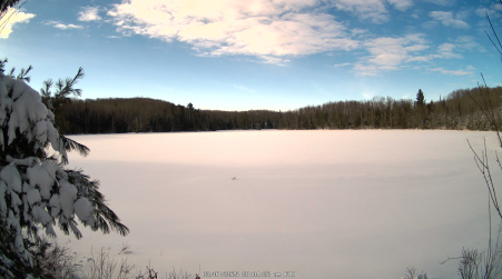 Image from 2025-03-07