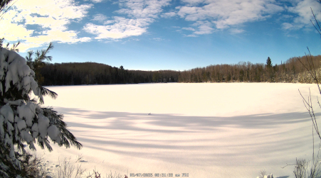 Image from 2025-03-07