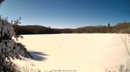 Image from 2025-03-07