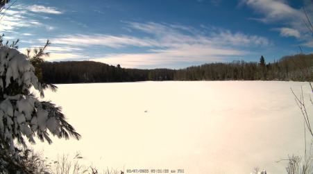 Image from 2025-03-07