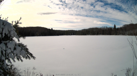 Image from 2025-03-07