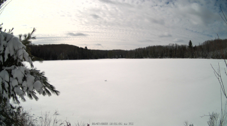 Image from 2025-03-07