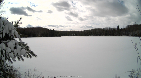Image from 2025-03-07