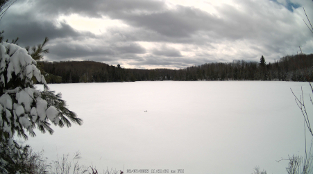 Image from 2025-03-07
