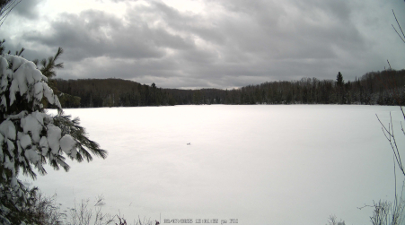Image from 2025-03-07