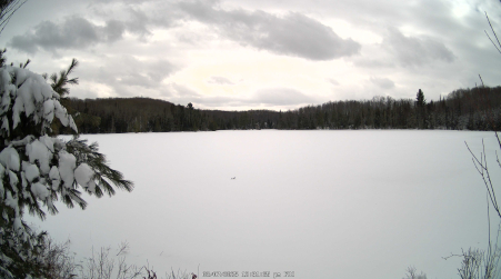 Image from 2025-03-07