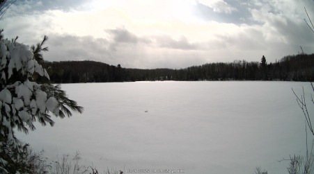 Image from 2025-03-07