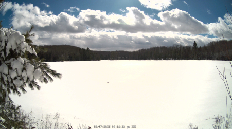 Image from 2025-03-07