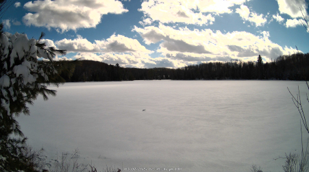 Image from 2025-03-07